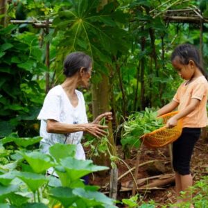 Vegetable Garden for Families and Communities