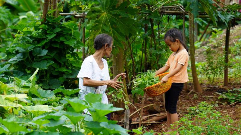 Vegetable Garden for Families and Communities