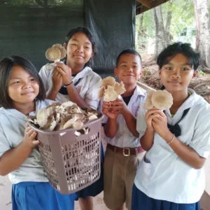 Mushroom Spawn: Delicious and a Great Way to Earn a Living