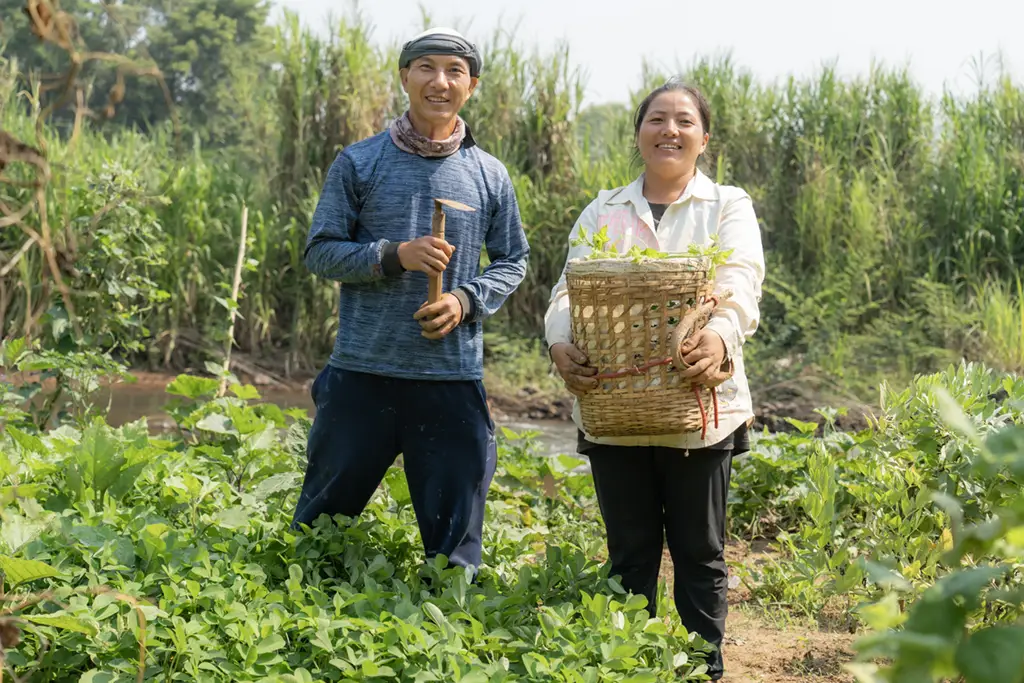 สวนผักสำหรับชุมชนและครอบครัว